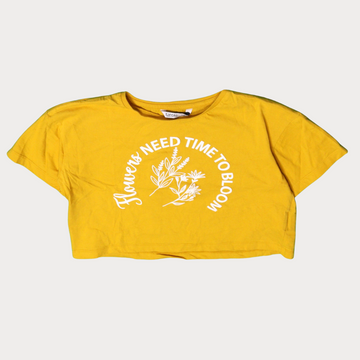 Crop Top T-shirts - Grade A